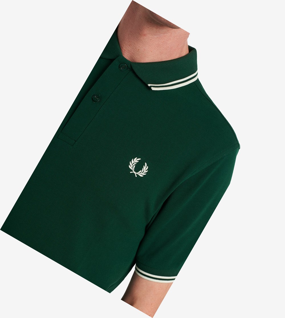 Fred Perry M3600 Polo Shirt Herre Mørkegrøn Hvide | 649815-UTN