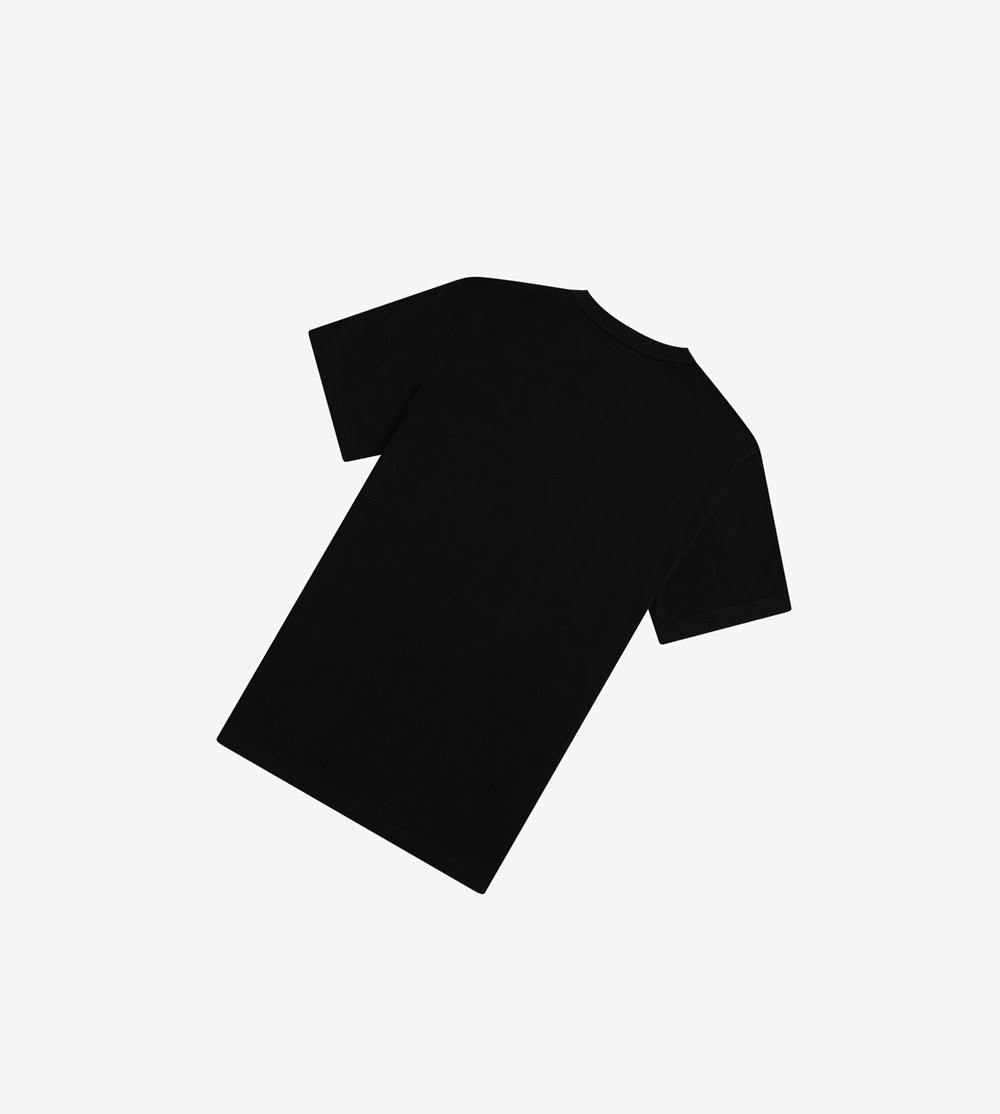 Fred Perry Raised Grafisk T Shirts Herre Sort | 126758-OZB